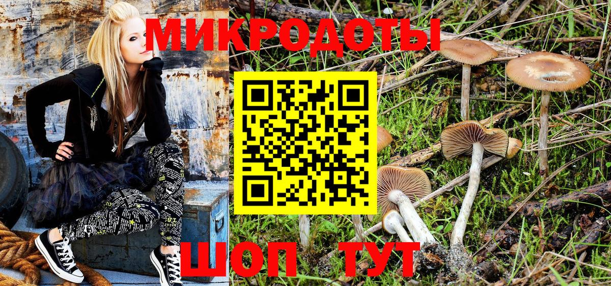 Псилоцибиновые грибы Cubensis Ялта