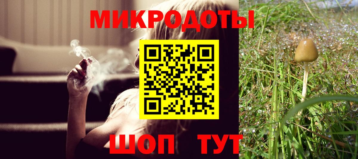 Галлюциногенные грибы Psilocybine cubensis  Вход с VPN  Ялта 